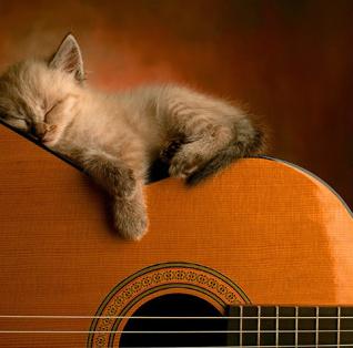 Chilling guitargrooves