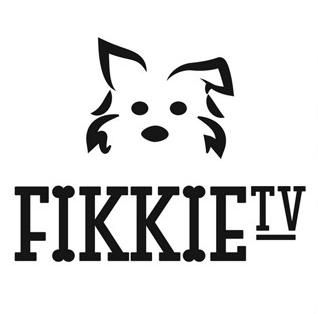Fikkie TV KH 2017