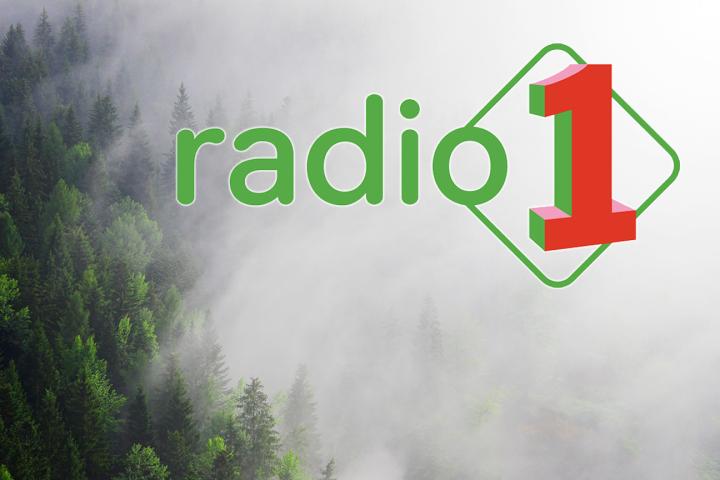 Radio 1 2006-2009