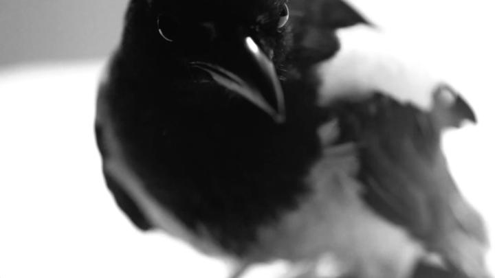 Close Up
